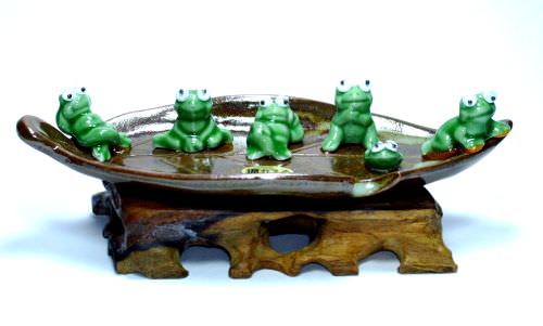 Drink, Food, Fruit & Little Creature | Frog in Ceramic Tray