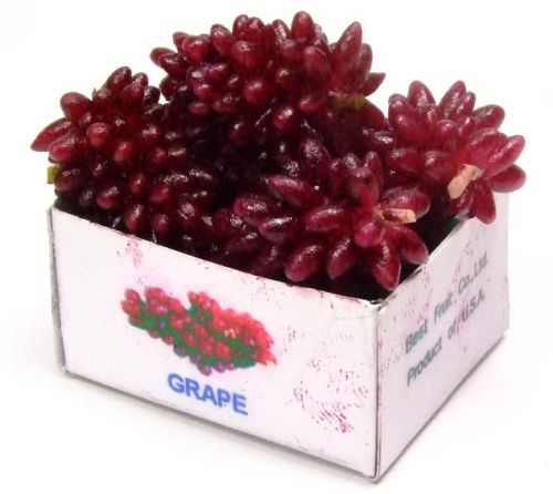 Drink, Food, Fruit & Little Creature | Grape in box