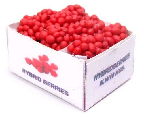 Drink, Food, Fruit & Little Creature | Hybrid Berries in box