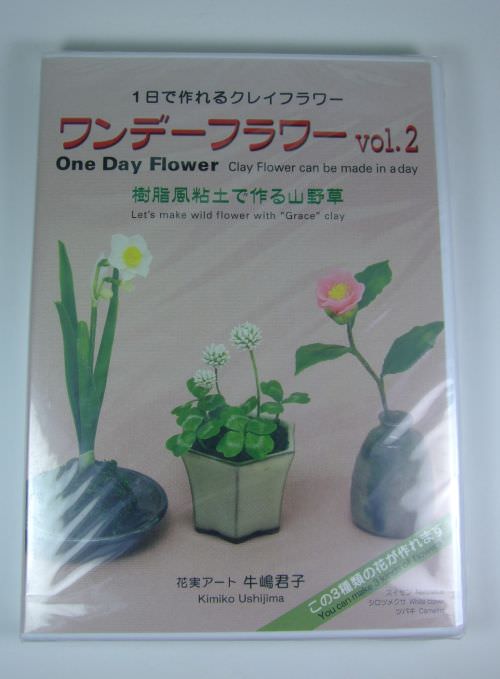 Book & DVD | Japan ISBN 978-4-872811-58-2