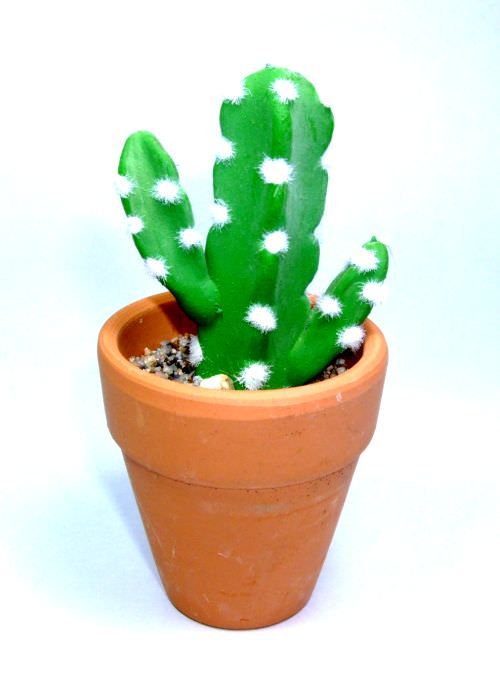 Flower & Stamen etc. | Cactus 