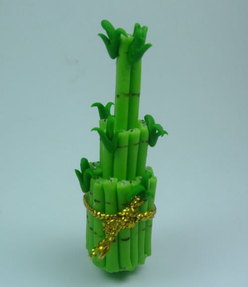 Flower & Stamen etc. | Lucky Bamboo (M) - stem