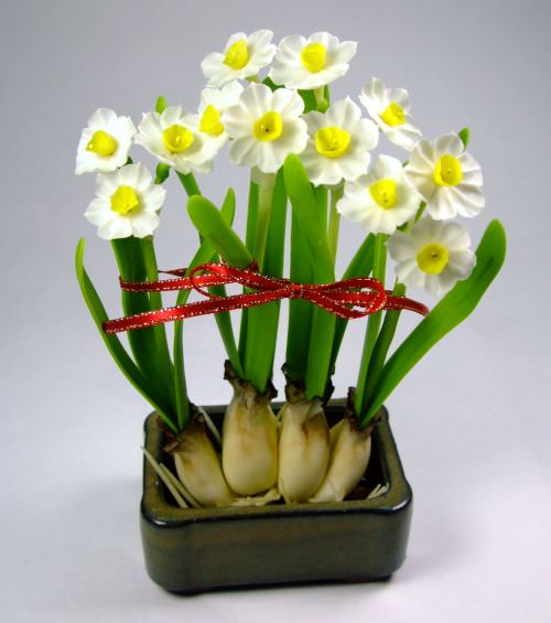 Flower & Stamen etc. | DAFODIL (M) 11 -12 flowers Dia 2.2cm